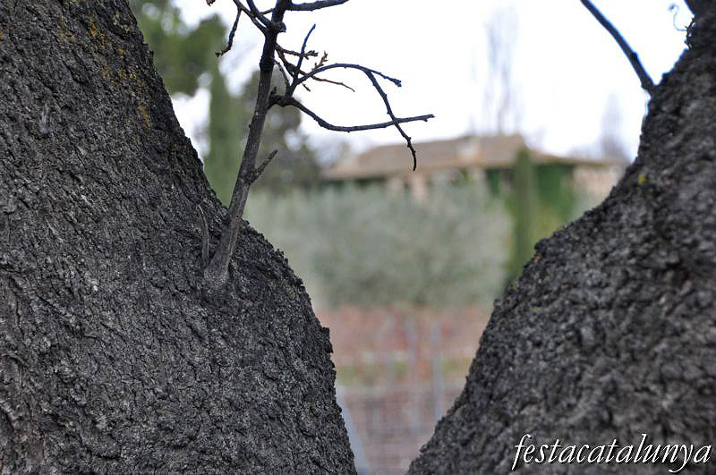 Sant Martí Sarroca - Mas Rabell de Fontenac