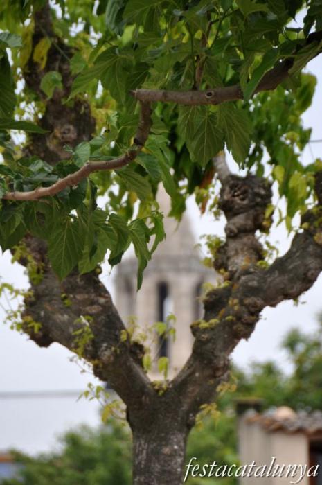 Cassà de la Selva - Església parroquial de Sant Martí