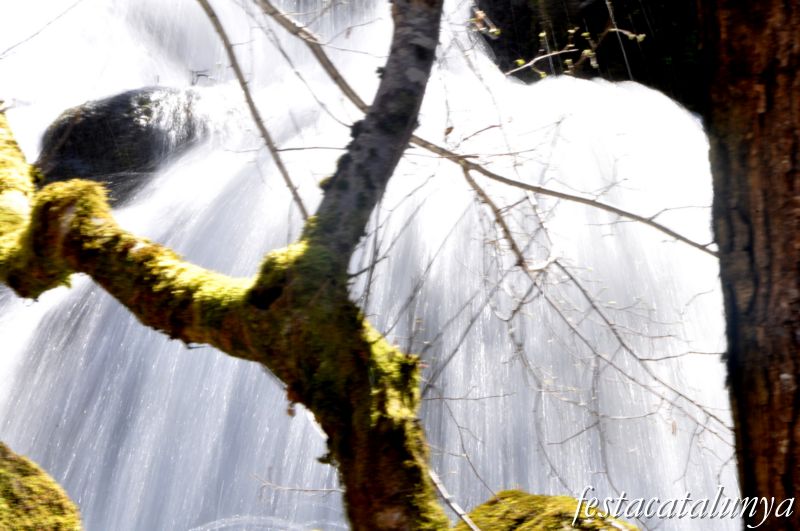 Arriu de Bordius