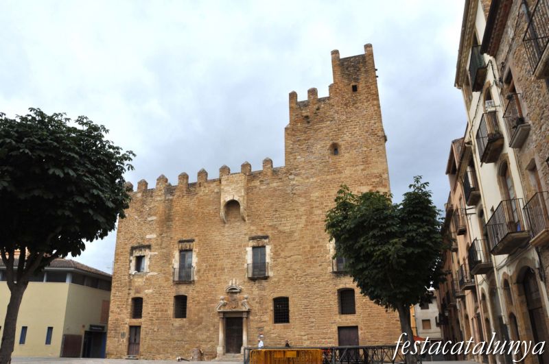 Castell Palau de la Bisbal d'Empordà