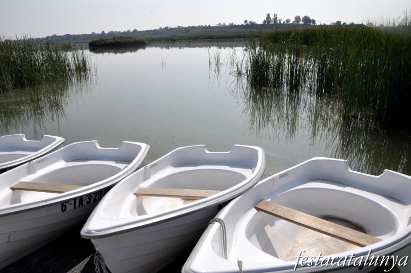 Vila-sana - Estany d’Ivars i Vila-sana