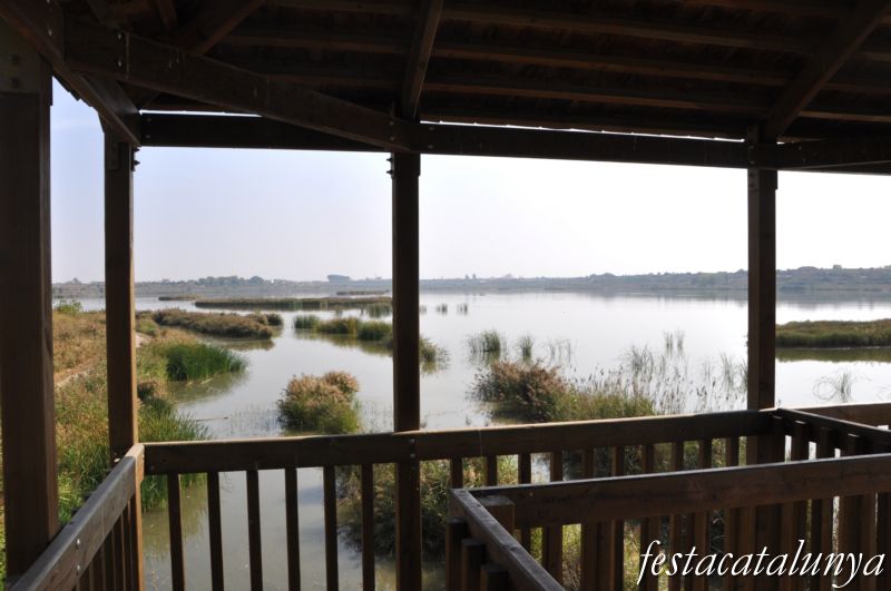 Vila-sana - Estany d’Ivars i Vila-sana