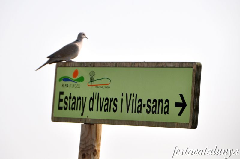 Vila-sana - Estany d’Ivars i Vila-sana