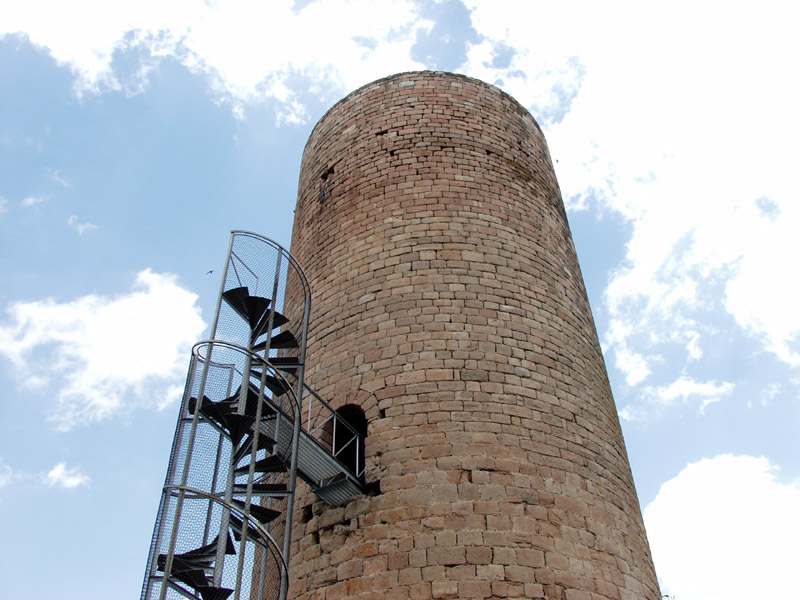 Torre de la Manresana als Prats de Rei