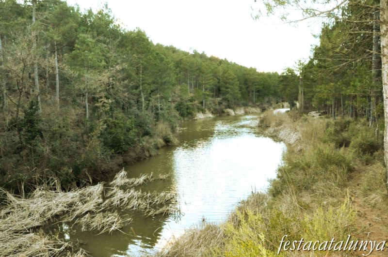 Bassa del Muntaner