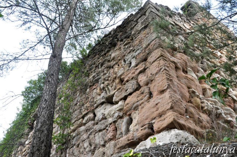 Castell de Maians