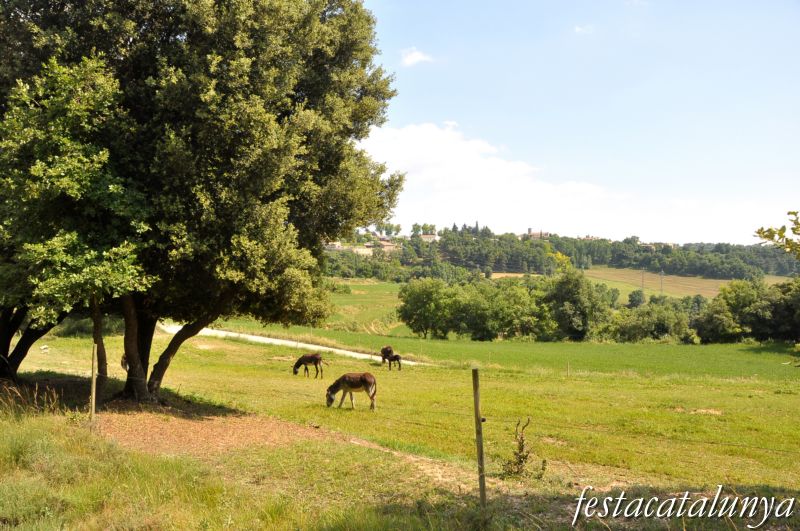 Perafita - Ermita del Remei
