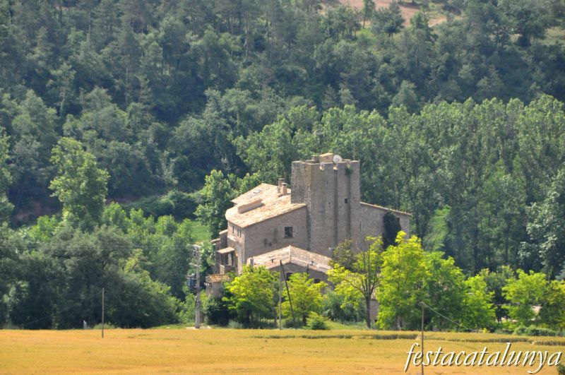 Castell d'Olost