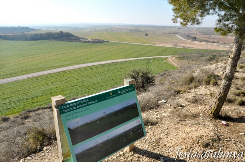 Preixana - Vistes panoràmiques de l’espai natural protegit secans de Belianes-Preixana des del tossal de la vila