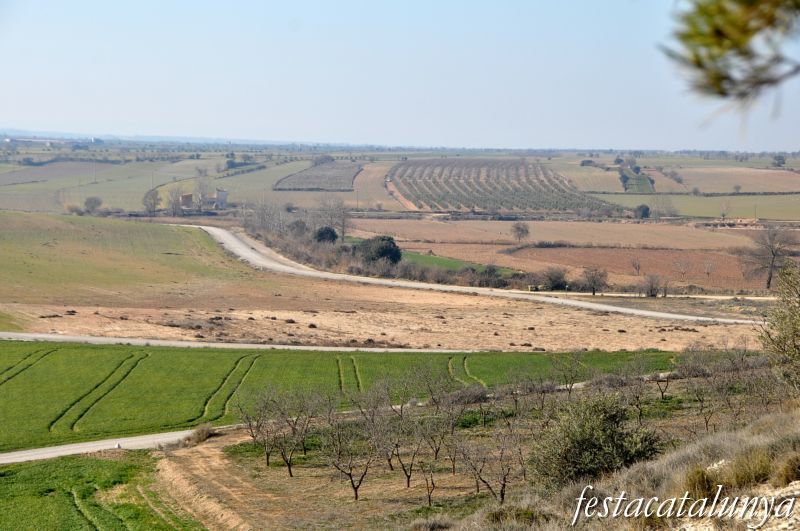 Preixana - Vistes panoràmiques de l’espai natural protegit secans de Belianes-Preixana des del tossal de la vila