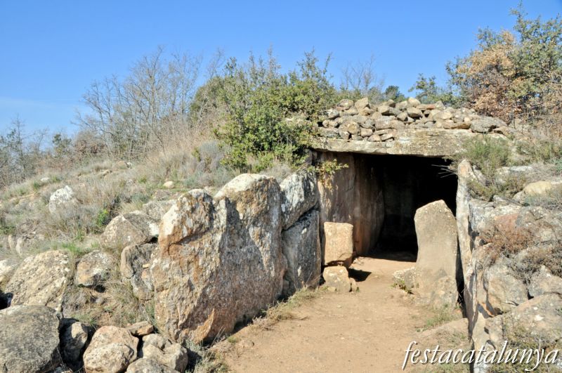 Torà -  Dolmen de Llanera o de la Torre dels Moros