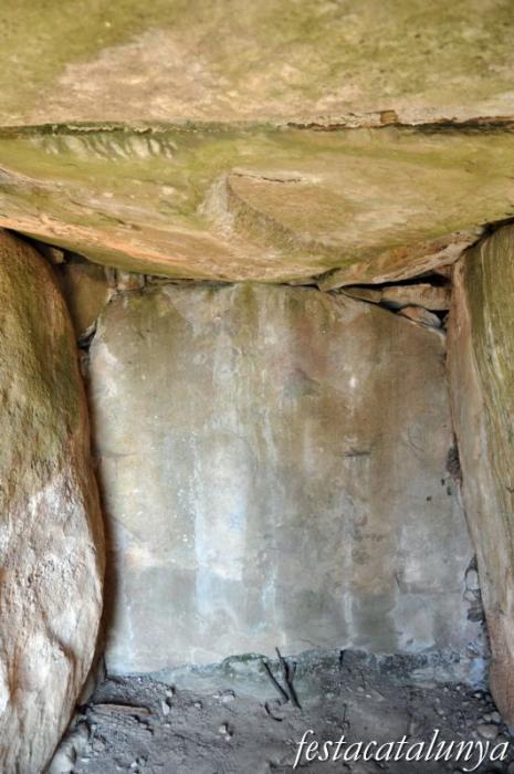 Torà -  Dolmen de Llanera o de la Torre dels Moros