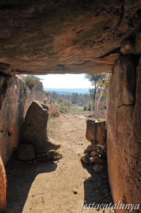 Torà -  Dolmen de Llanera o de la Torre dels Moros