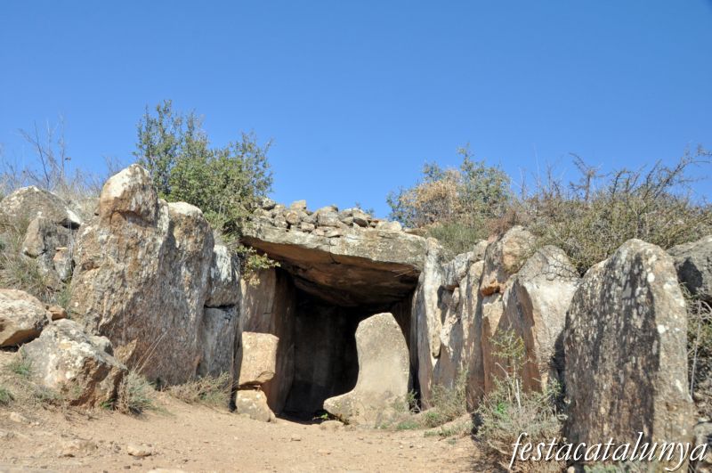 Torà -  Dolmen de Llanera o de la Torre dels Moros