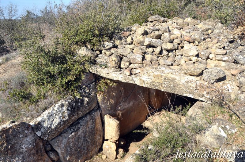Torà -  Dolmen de Llanera o de la Torre dels Moros