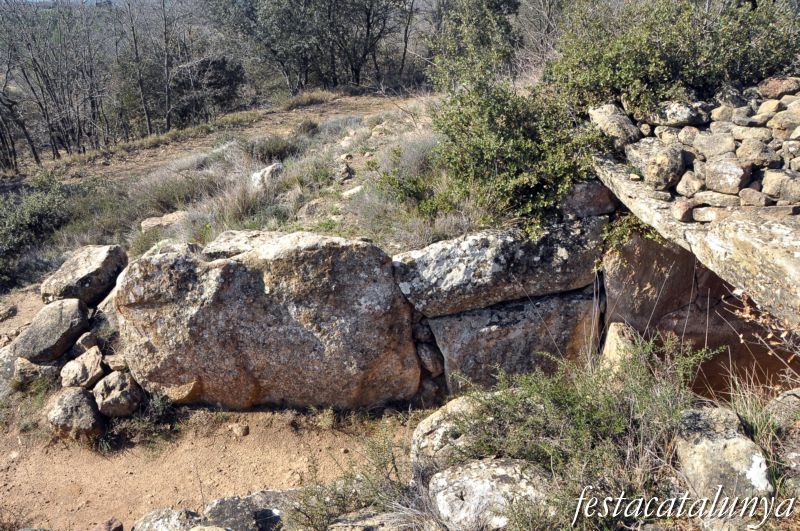 Torà -  Dolmen de Llanera o de la Torre dels Moros