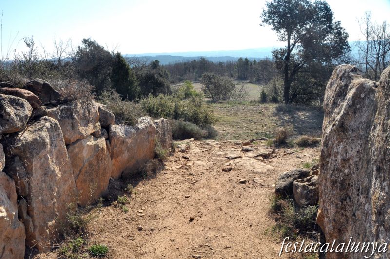 Torà -  Dolmen de Llanera o de la Torre dels Moros