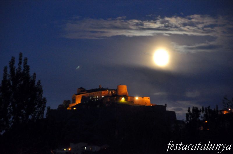 Castell de Cardona