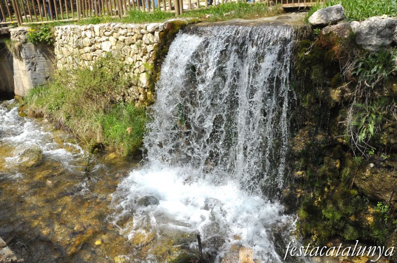 Fonts del Cardener