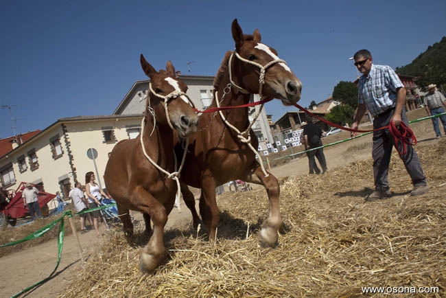 Santa Eulàlia de Riuprimer - Festa del Segar i el Batre (Foto: Adrià Costa)