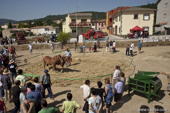 Santa Eulàlia de Riuprimer - Festa del Segar i el Batre (Foto: Adrià Costa)