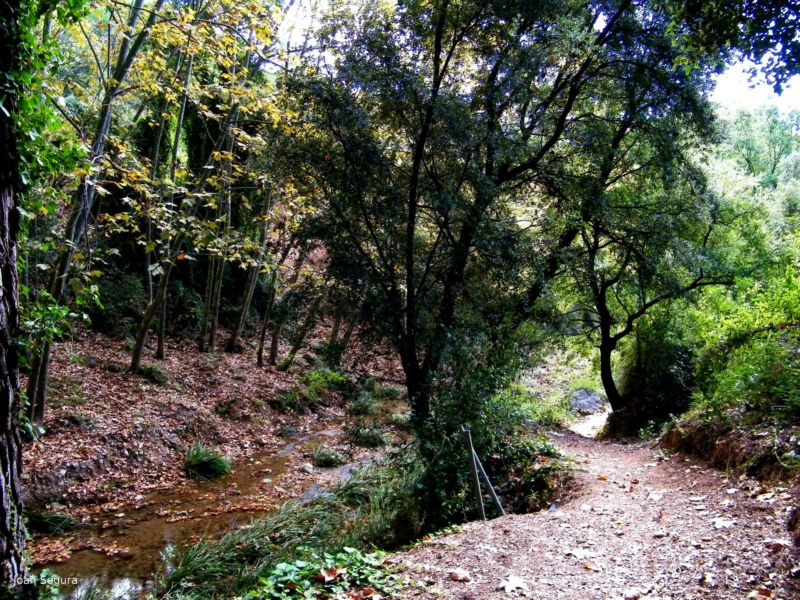 Torrelles de Foix - Font de les Dous (Foto: Joan Segura)