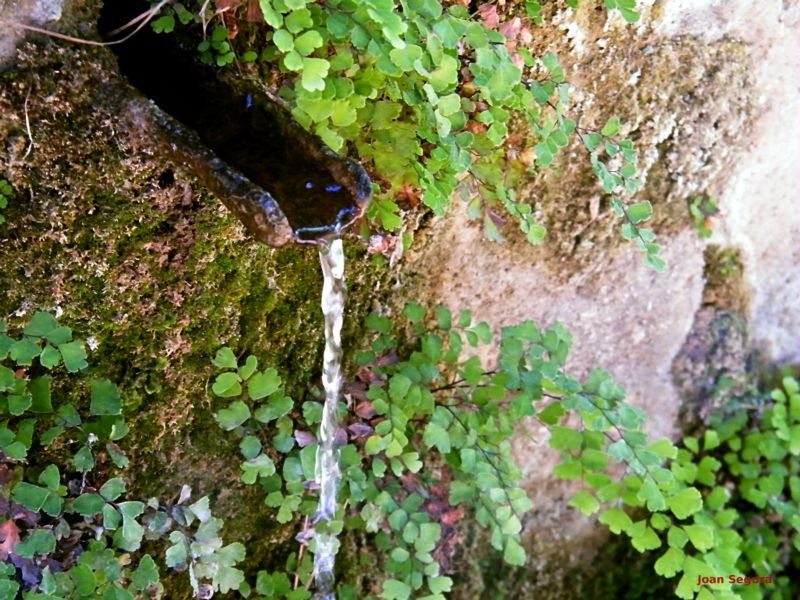 Torrelles de Foix - Font de les Dous (Foto: Joan Segura)