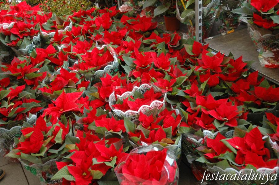 Rubió - Fira de Nadal
