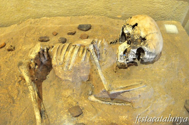 Moià - Museu arqueològic i paleontològic de Moià