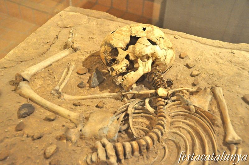 Moià - Museu arqueològic i paleontològic de Moià