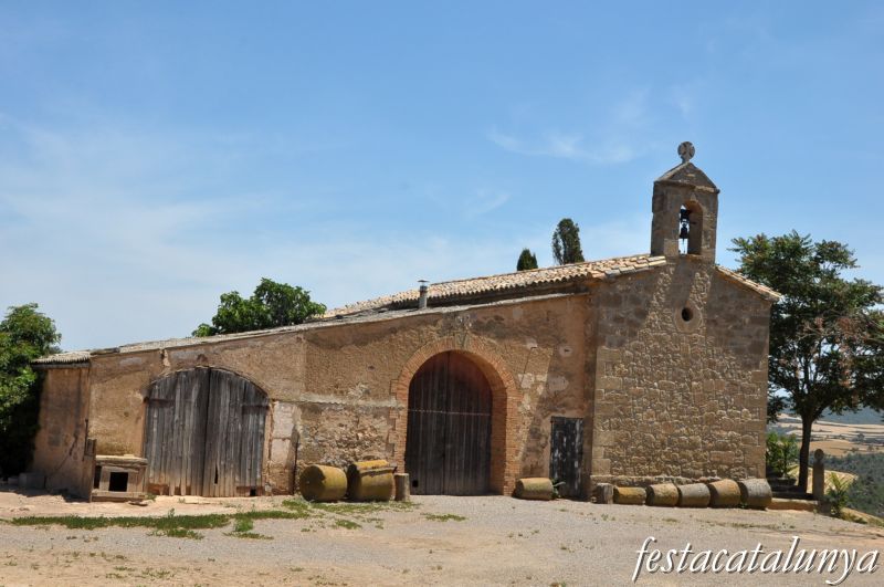 Sant Joan de Puig Redon a Torà
