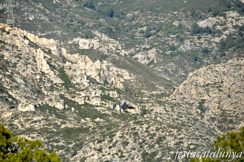 Vandellòs i l’Hospitalet de l’Infant - Mirador de les muntanyes de Vandellòs (Cova del Solà)