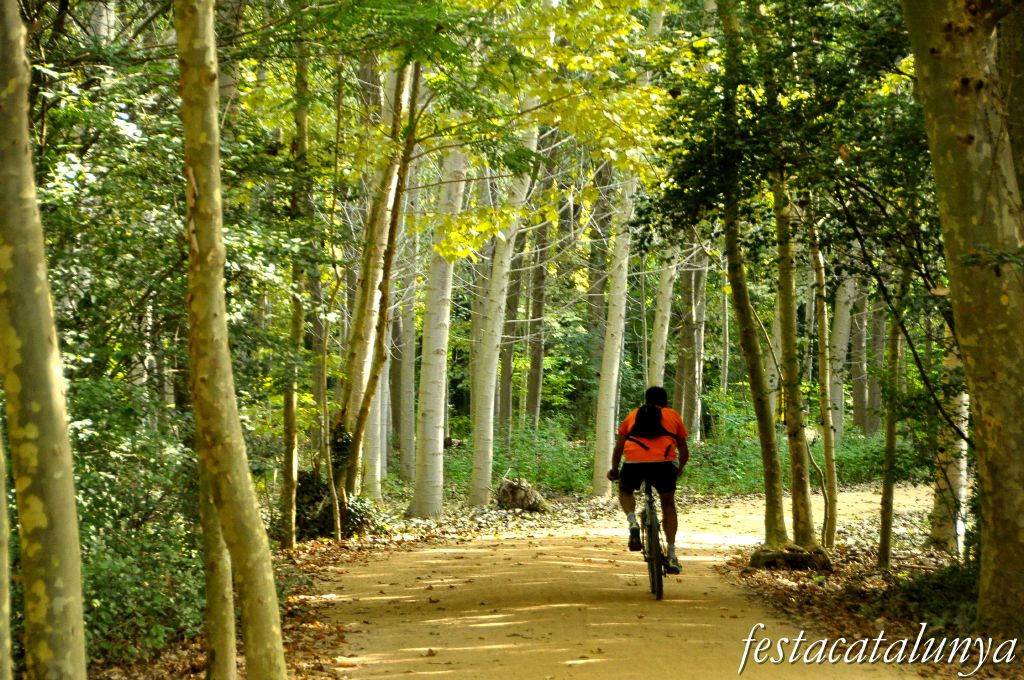 Parc de les Deveses
