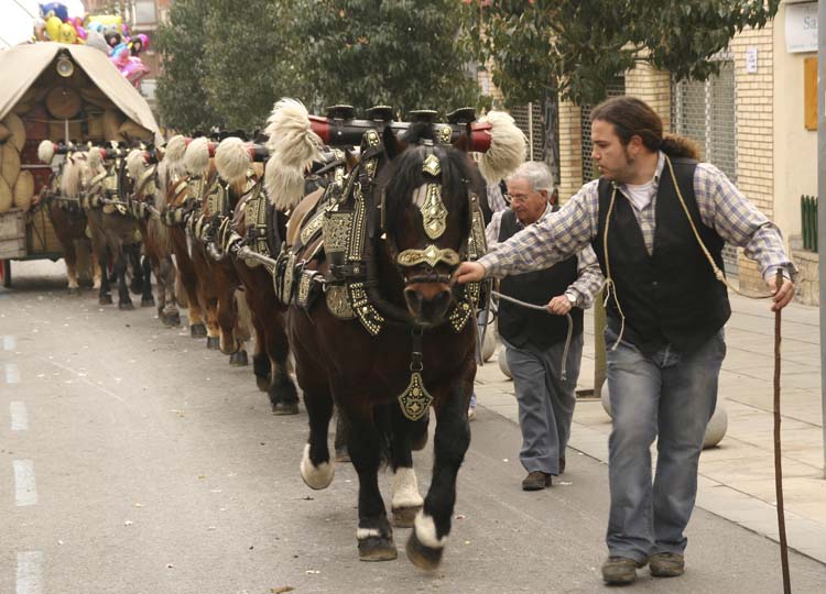 Sant Quirze del Vallès - Passada de Sant Antoni Abat (Foto: Ajuntament de Sant Quirze del Vallès)