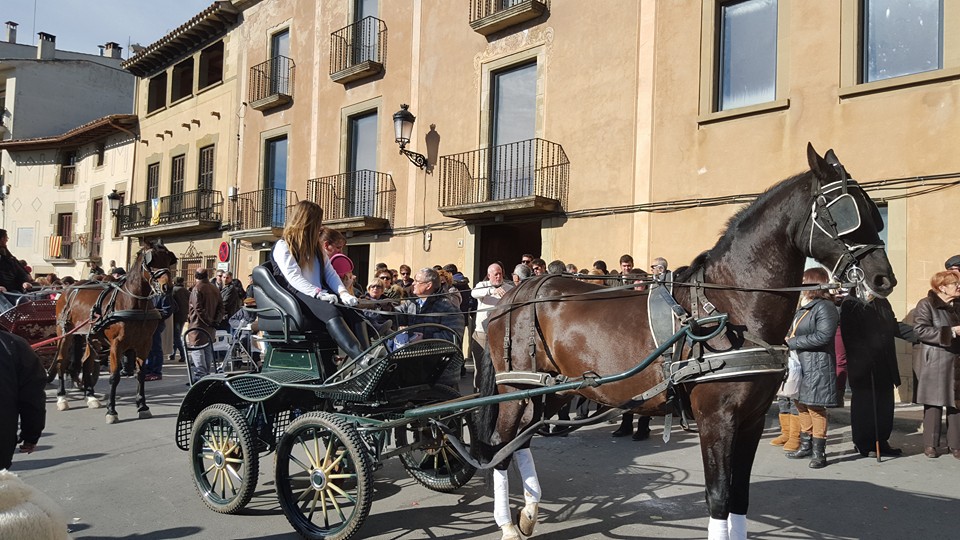 Castellterçol - Festa de Sant Antoni Abat (Foto: Ajuntament de Castellterçol)