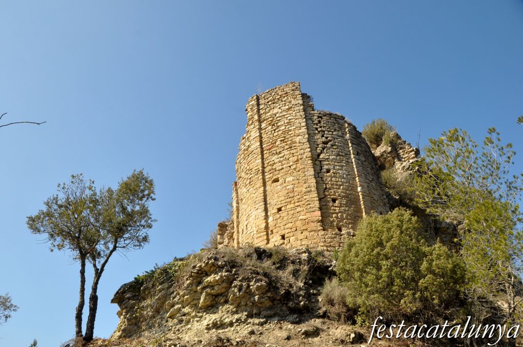Festa Major de Sant Vicenç a Castellolí