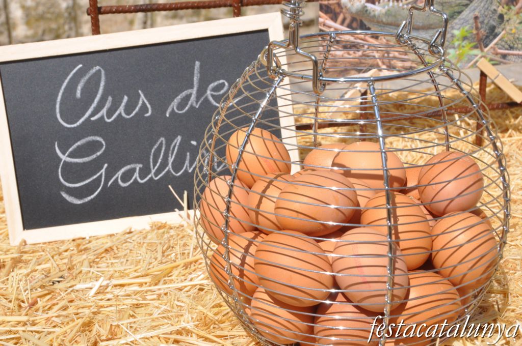 Sant Guim de Freixenet - Fira de l'Ou sant, guim, de, freixenet, fira, ou
