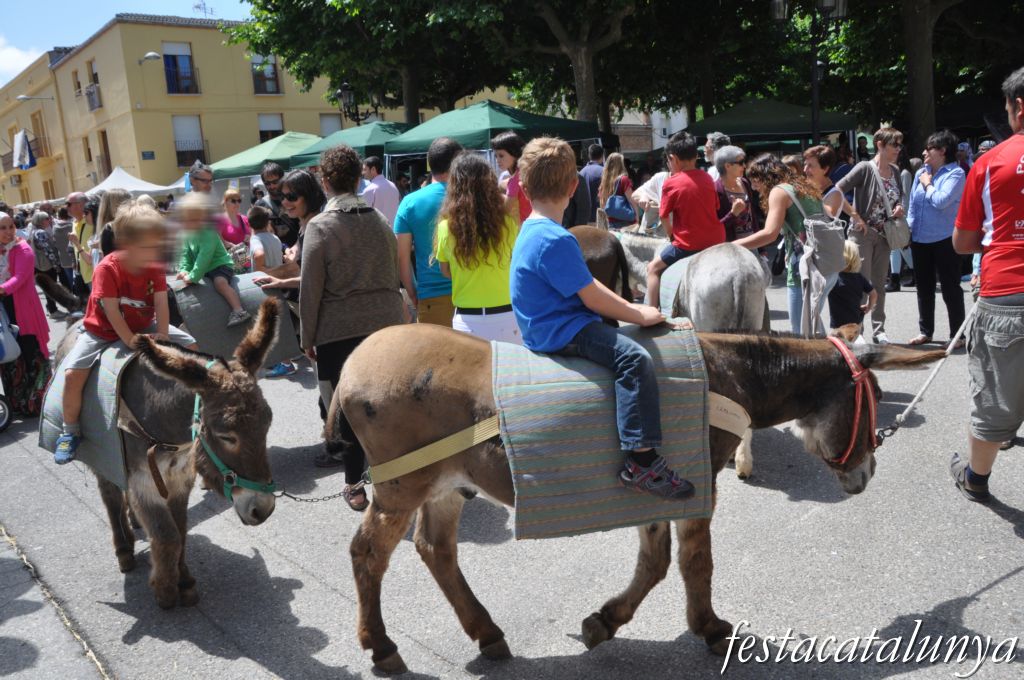 Sant Guim de Freixenet - Fira de l'Ou