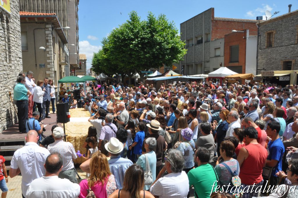 Sant Guim de Freixenet - Fira de l'Ou