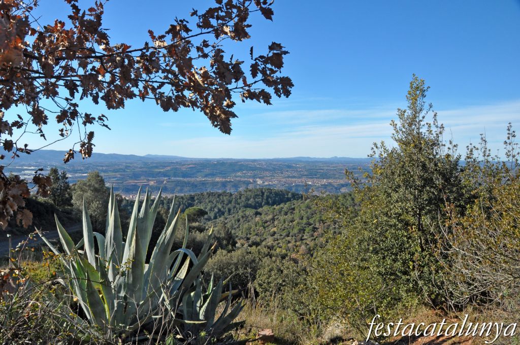 Olesa de Montserrat - Vistes panoràmiques des de Sant Pere Sacama