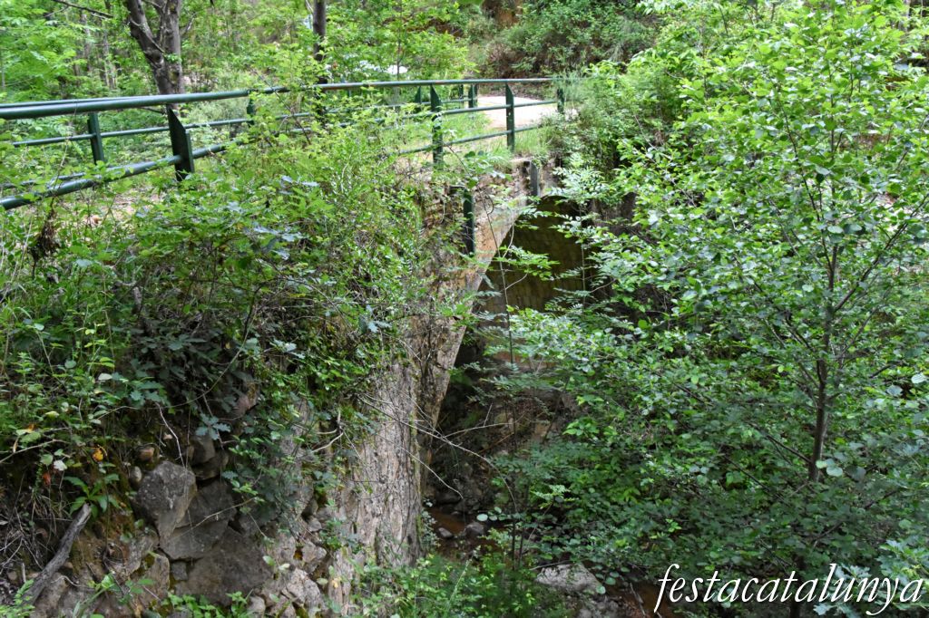 Maçanet de Cabrenys - Sant Miquel de Fontfreda - Pont dels Cantenys