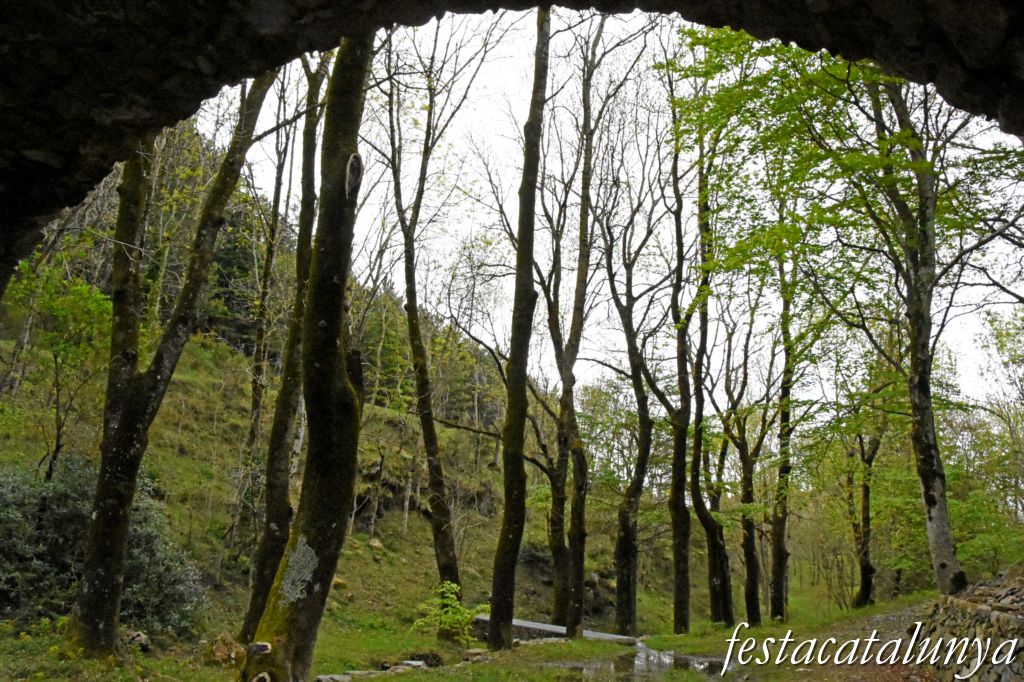 Maçanet de Cabrenys - Font de la Cova de Les Salines