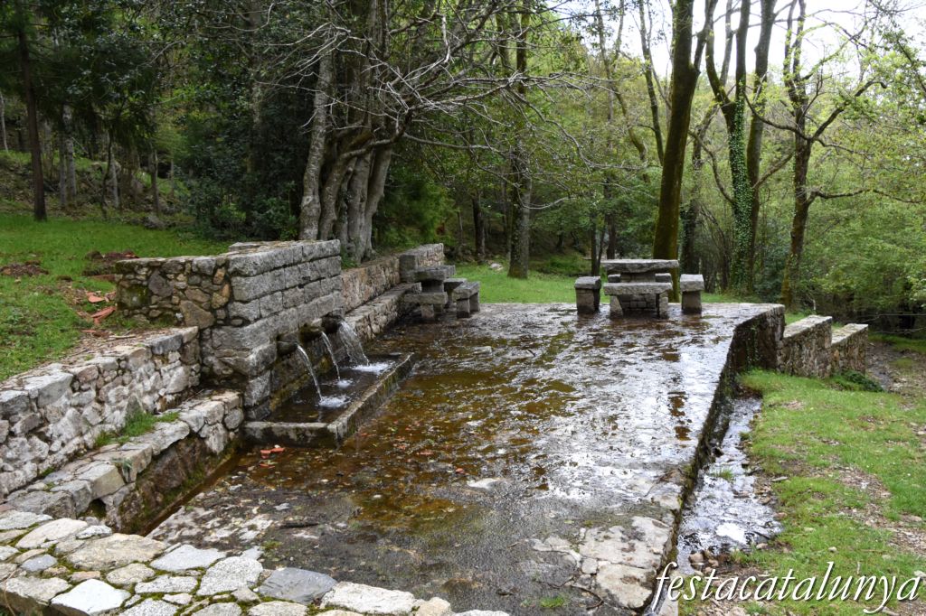 Maçanet de Cabrenys - Font de Les Salines