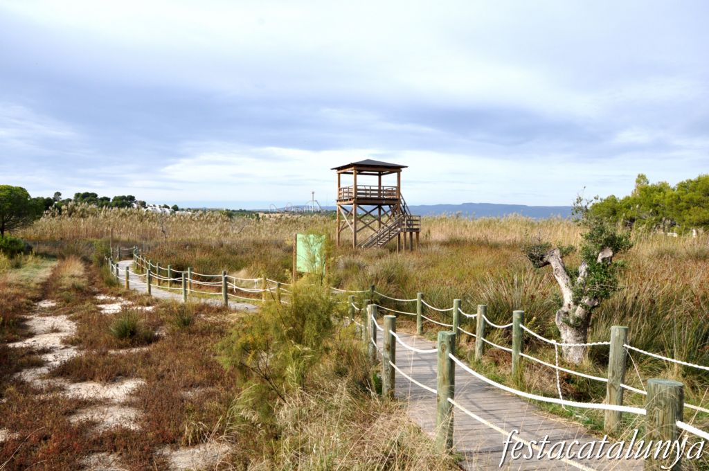 Vila-seca - Sèquia Major a la Pineda