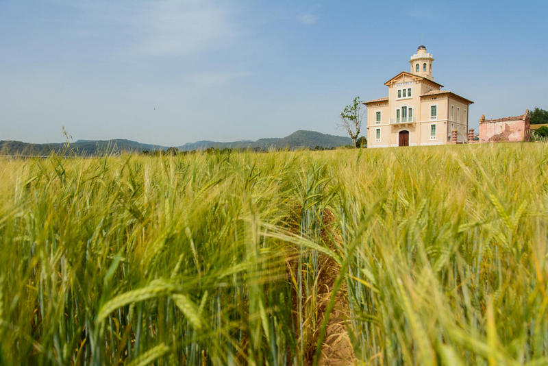Visita Guiada: Torre Lluvià i Vil·la Emília, una joia recuperada del modernisme manresà