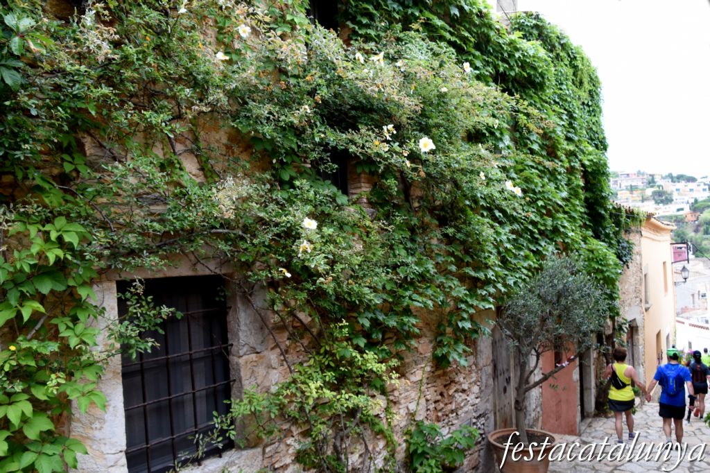 Carrer del Castell de Begur