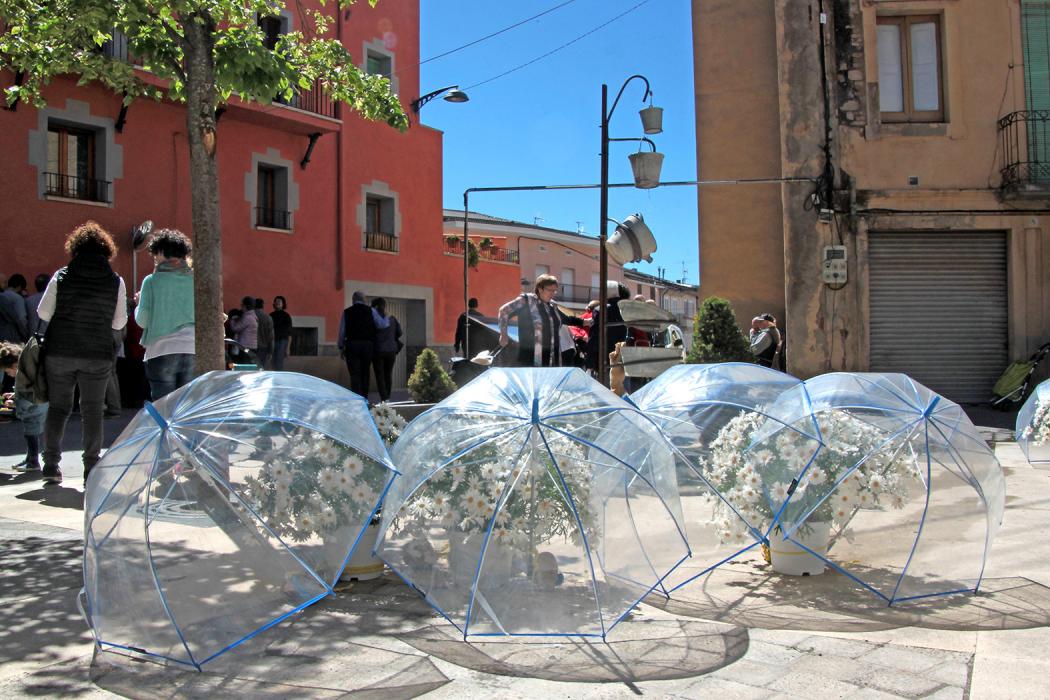 Santpedor en flor (Foto: Ajuntament de Santpedor)