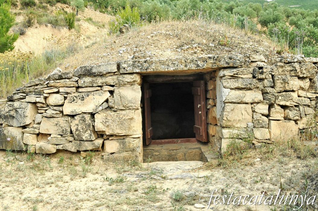 Cisterna de Tiroi