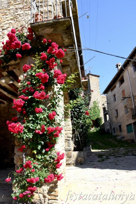 Vallfogona de Ripollès - Conjunt medieval del nucli antic