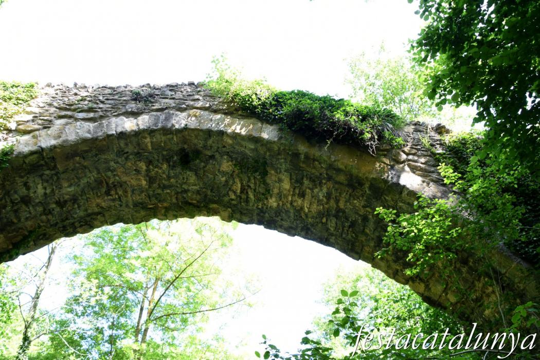 Vallfogona de Ripollès - Pont medieval